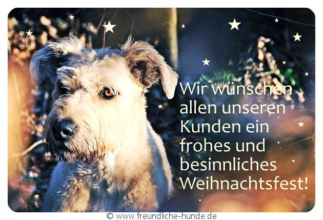 weinachten2016NeuFace